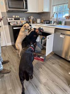 Kitchen Plumbing Services in Raleigh, NC