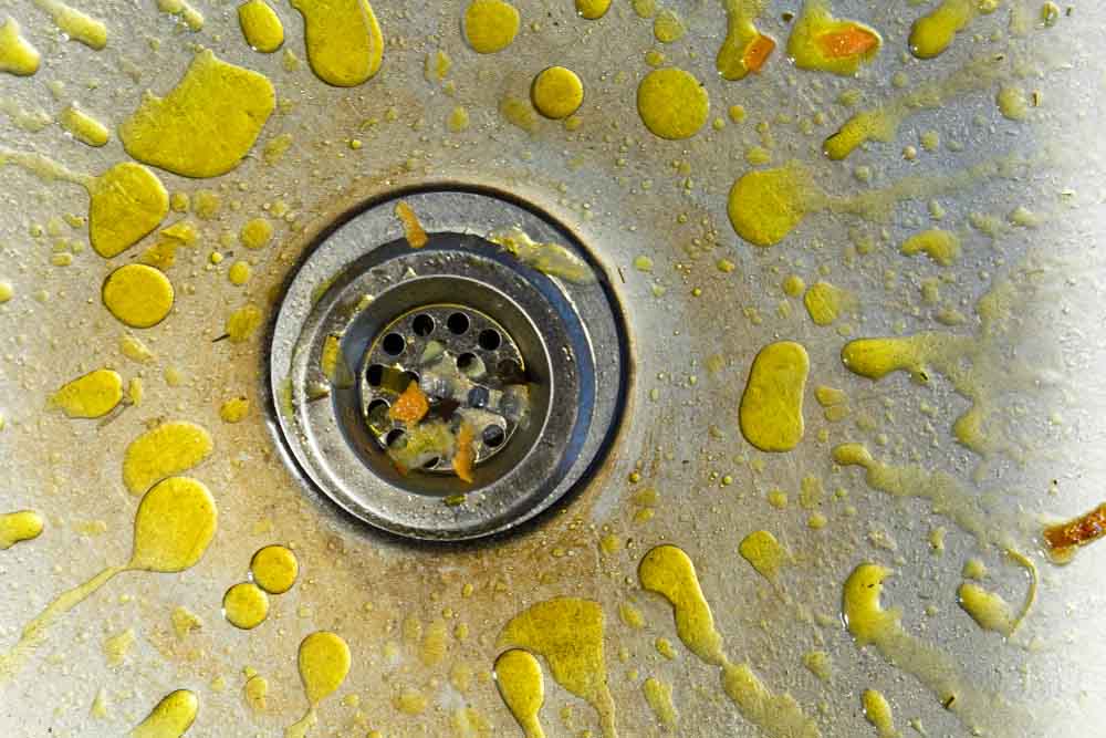 greasy drain